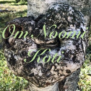 Sisustuskonsultaatio